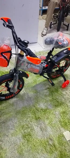 Beijing Bicycle 12" Kids Bicycle