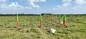Mwalimu Farm Phase 7