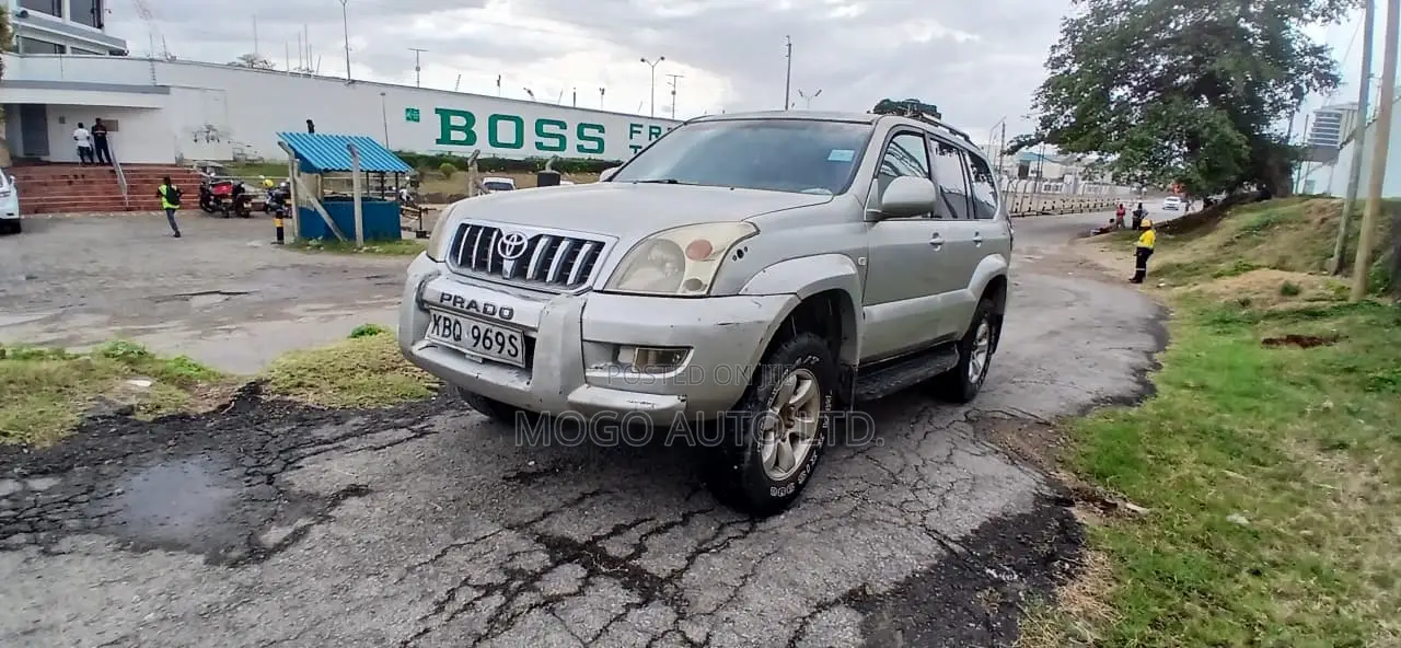 Toyota Land Cruiser 2004 Silver