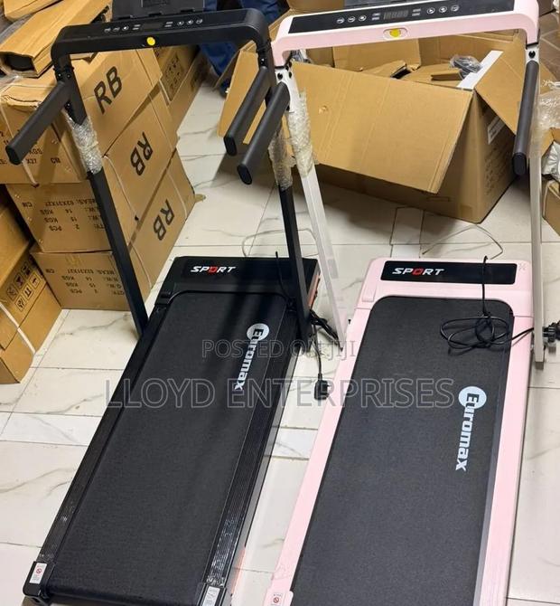 Euromax Foldable Walking Pad Treadmill With Incline and Hand Rails - main view
