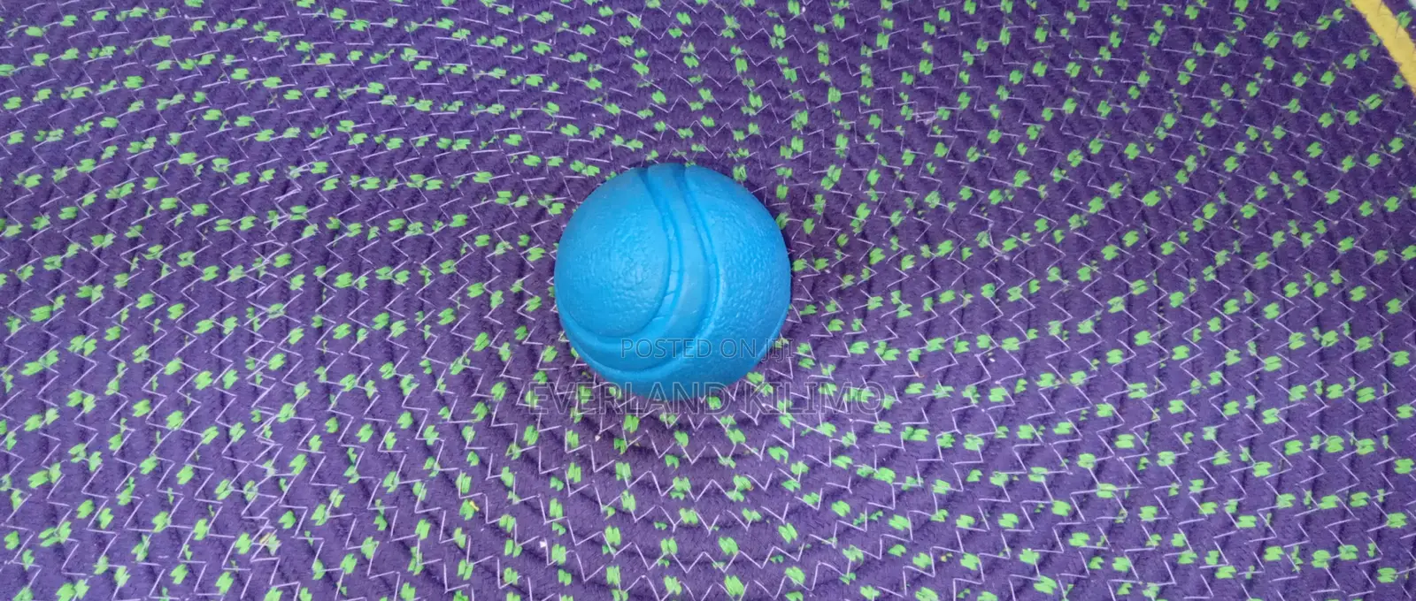 Bite Resistant Dog's Fetch Ball