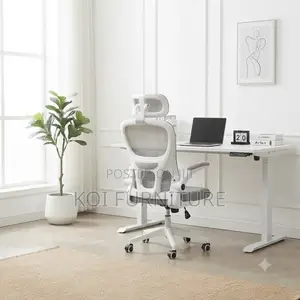 Office Chairs; White Design Orthopedic Office Chairs