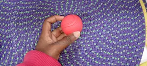 Bite Resistant Puppy's Training Ball