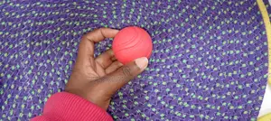 Bite Resistant Puppy's Training Ball