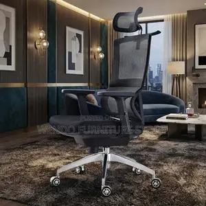 Office Chairs; Black High Back Orthopedic Purposes Chairs