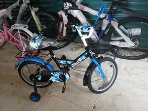 Endesha 16-Inch Kids Bicycle With Training Wheels