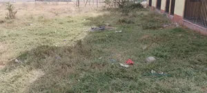 Urgent Prime Plot for Sale: A Rare Investment Opportunity!