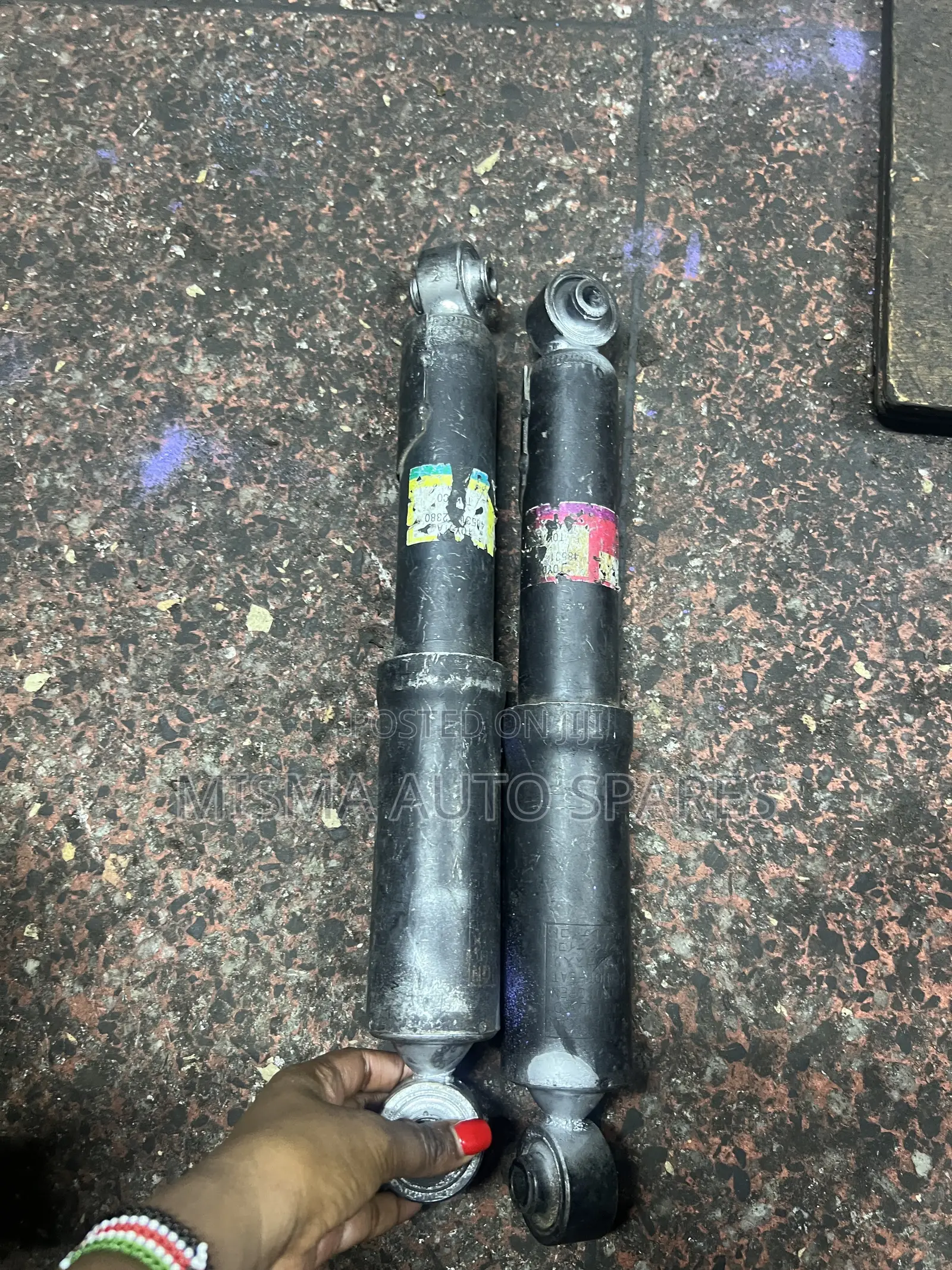 Rear Shocks Vanguard