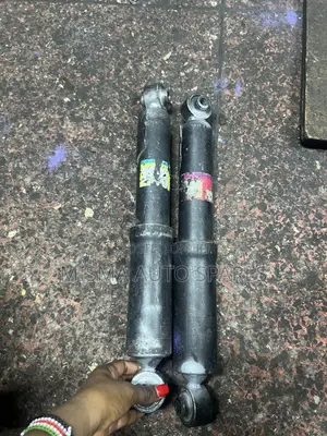 Rear Shocks Vanguard