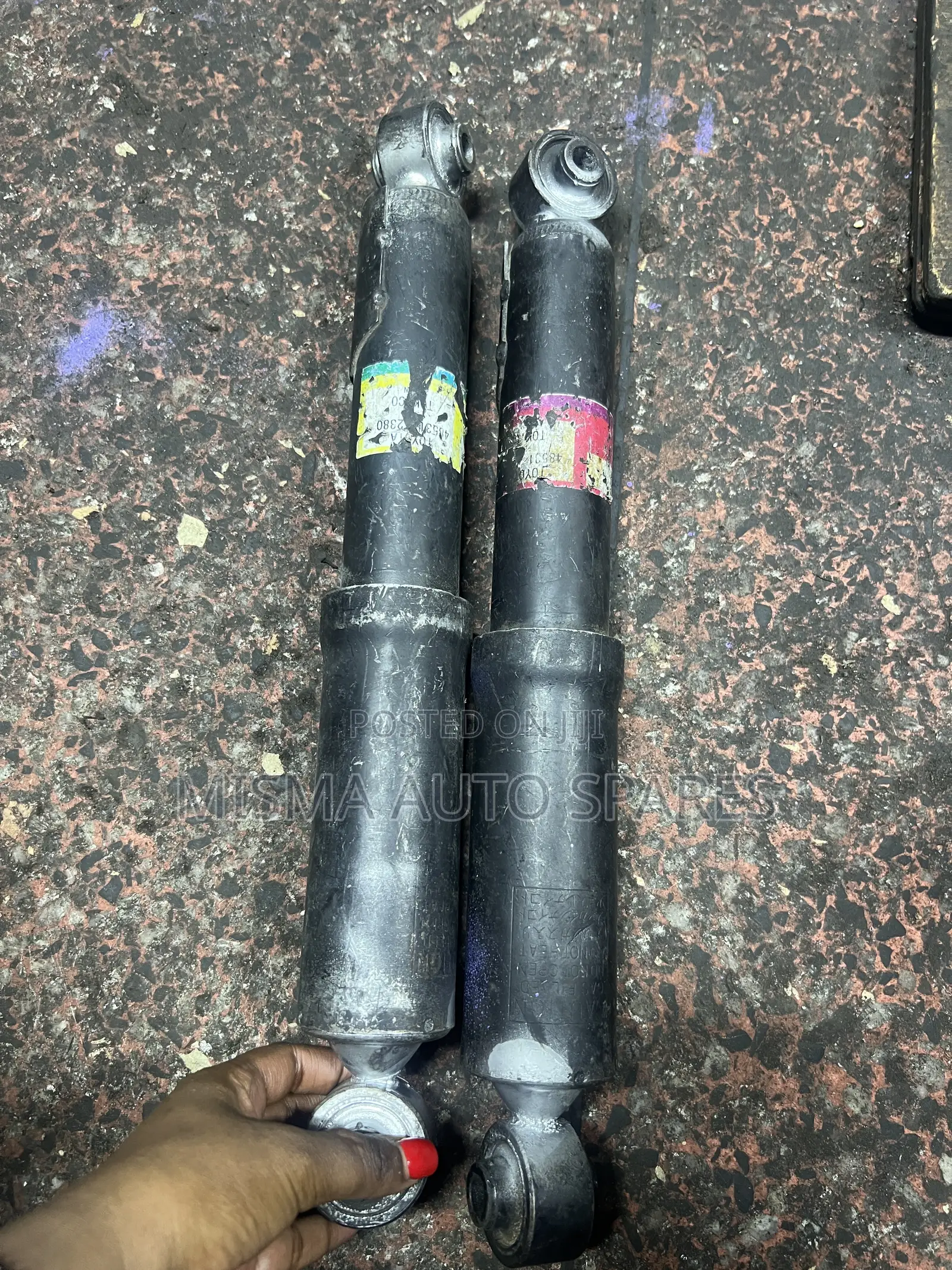 Rear Shocks Vanguard