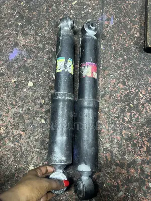 Rear Shocks Vanguard