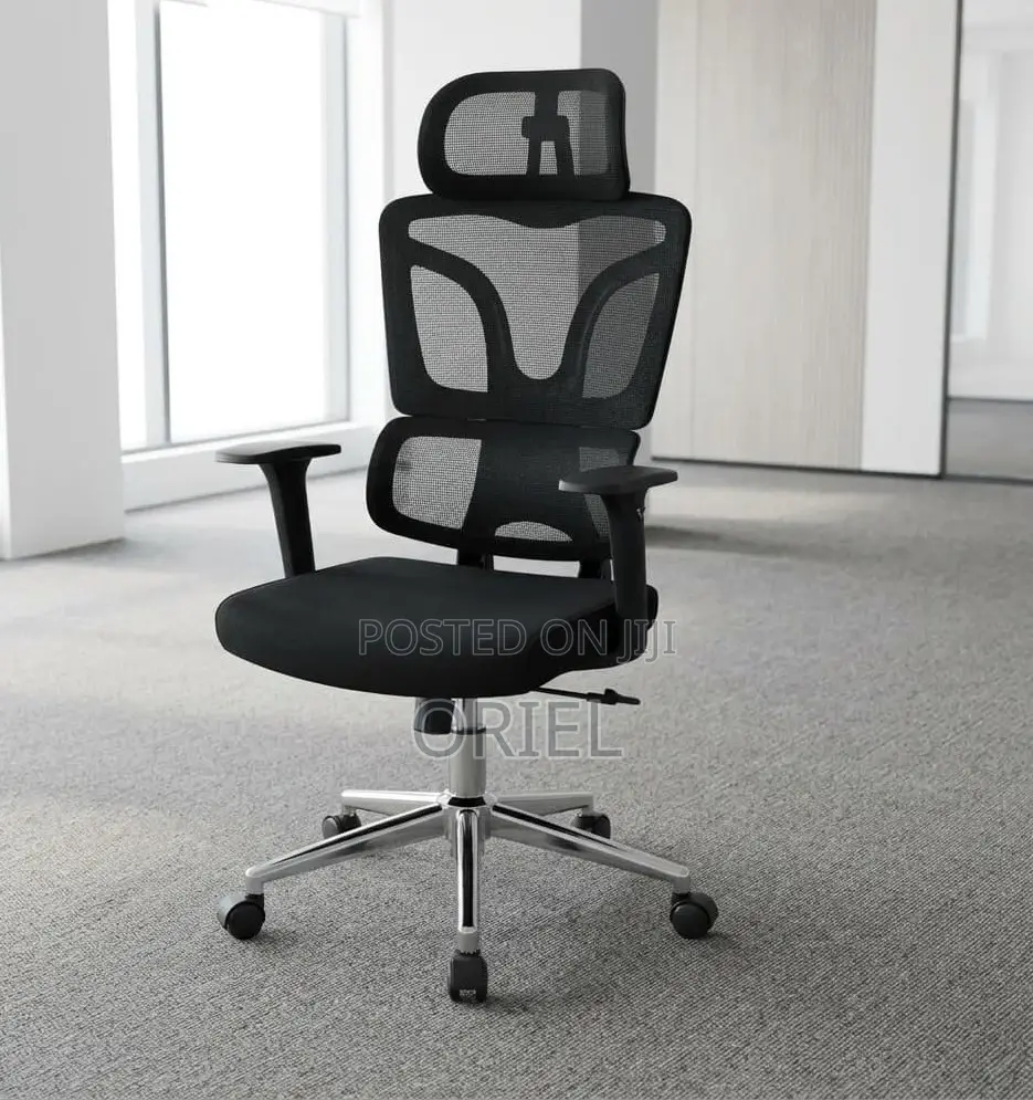 Office Chair : High-Back Office Orthopedic Chair