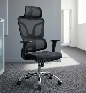 Office Chair : High-Back Office Orthopedic Chair