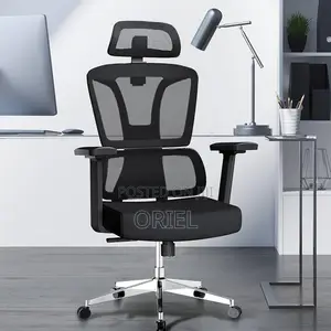 Office Chair : High-Back Office Orthopedic Chair