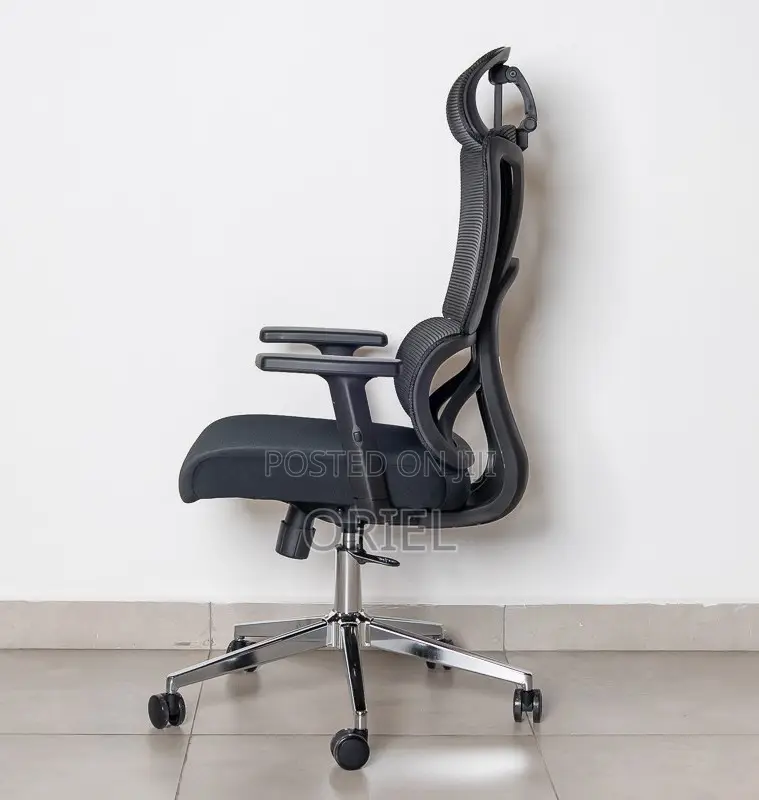 Office Chair : High-Back Office Orthopedic Chair
