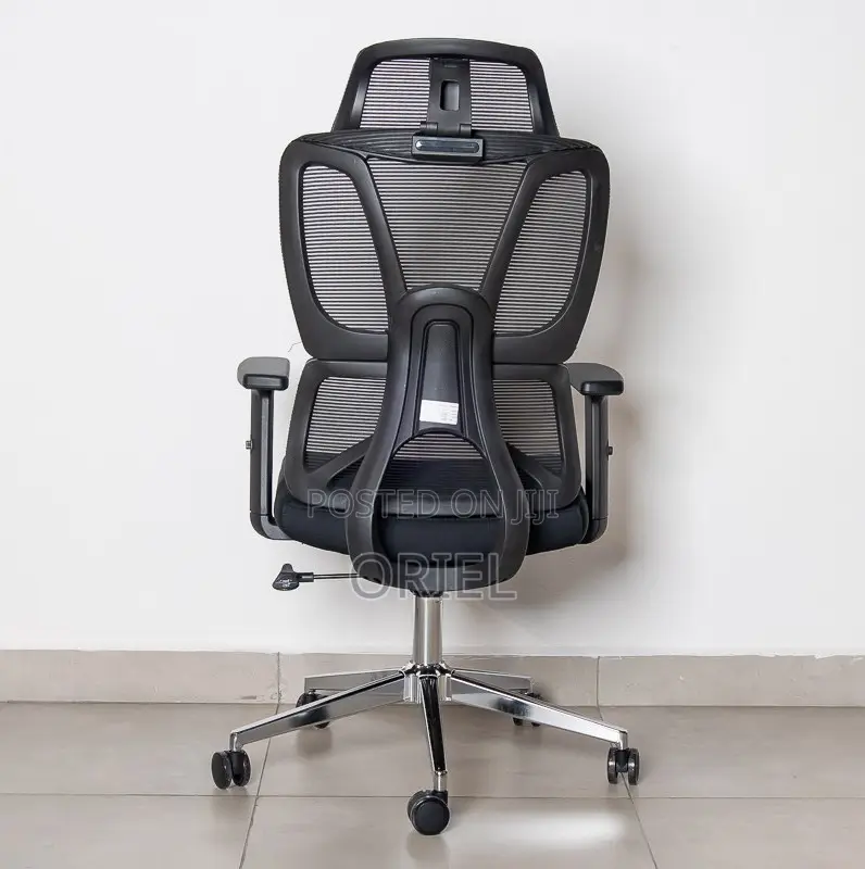 Office Chair : High-Back Office Orthopedic Chair