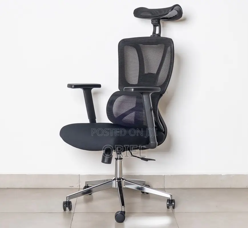 Office Chair : High-Back Office Orthopedic Chair
