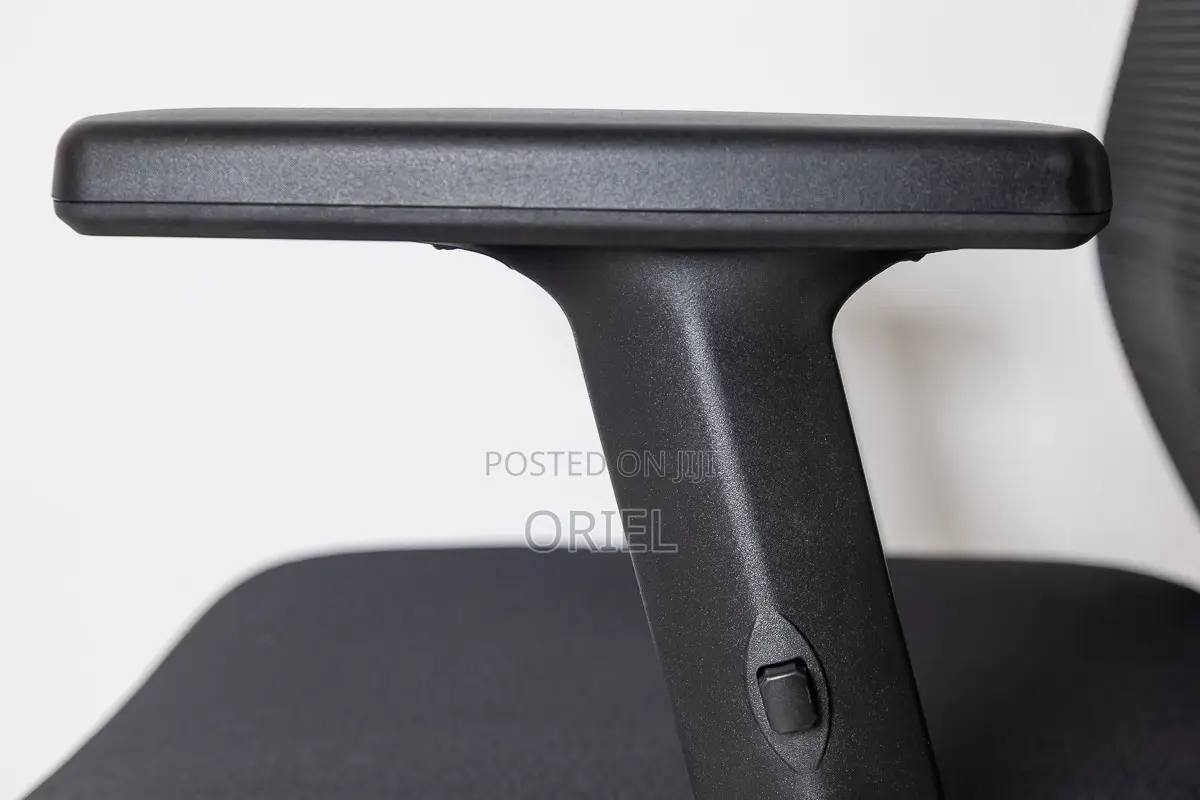 Office Chair : High-Back Office Orthopedic Chair