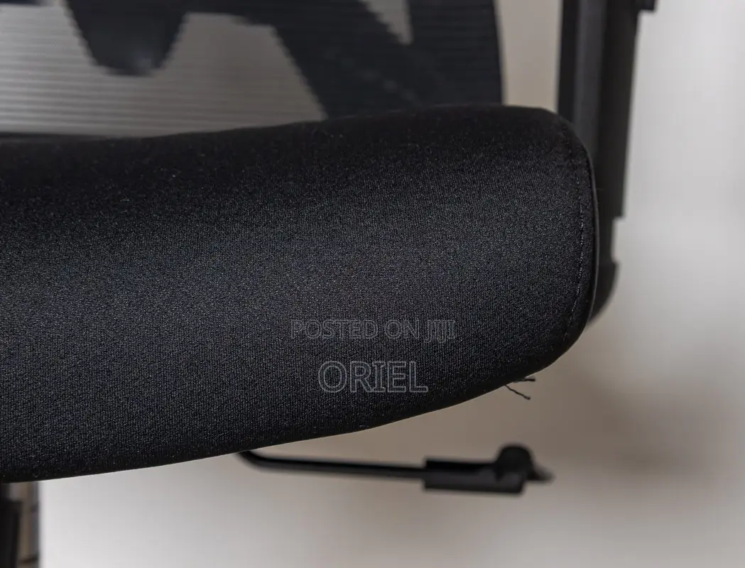 Office Chair : High-Back Office Orthopedic Chair
