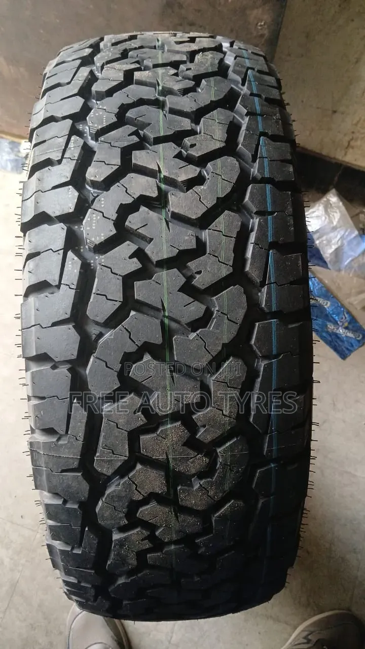 255/55r19 BF Comforser Tyres