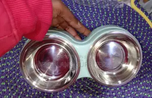 Stainless Cats Feeding Bowl