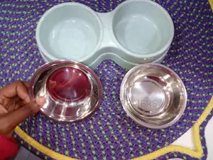 Stainless Colorful Bowl for Cats
