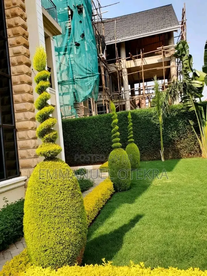 Landscaping and Cleaning Services