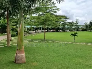 Landscaping and Cleaning Services