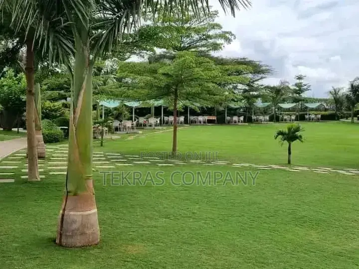 Landscaping and Cleaning Services