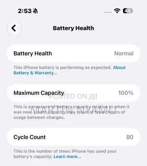 Apple iPhone 16 Pro Max 256 GB Silver