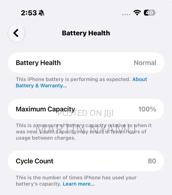 Apple iPhone 16 Pro Max 256 GB Silver