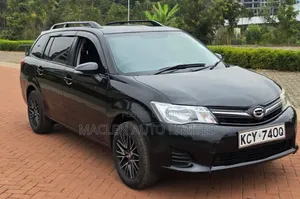 Toyota Corolla Fielder 2010 Black