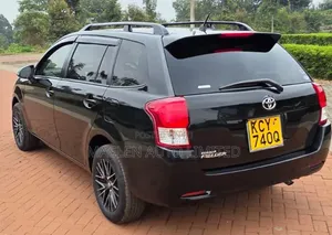 Toyota Corolla Fielder 2010 Black