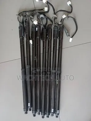 Tail Gate Lift (Boot Shock) Harrier New Model