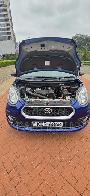Toyota Passo 2017 Blue
