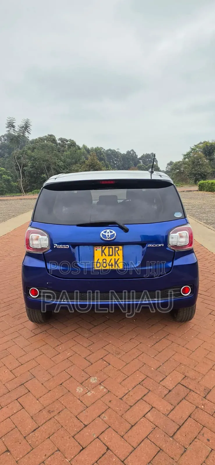 Toyota Passo 2017 Blue
