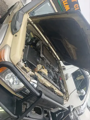 Toyota Land Cruiser 2010 Beige