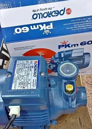 High Pressure Pedrollo 0.5hp Water Booster Pump/Pedrollo Pump