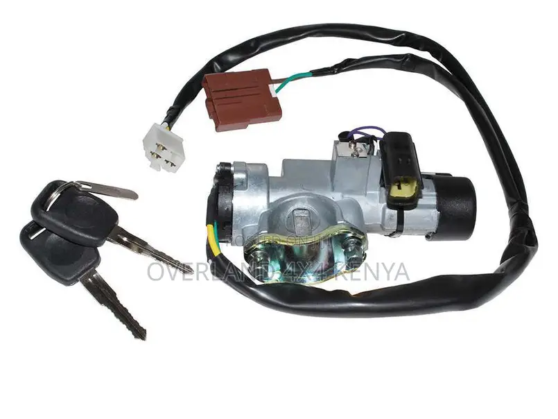 Steering Lock / Ignition Barrel and Key - 300TDi