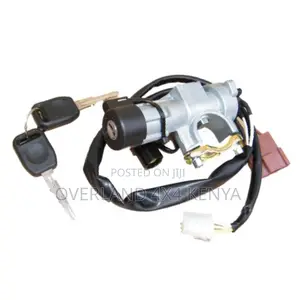 Steering Lock / Ignition Barrel and Key - 300TDi