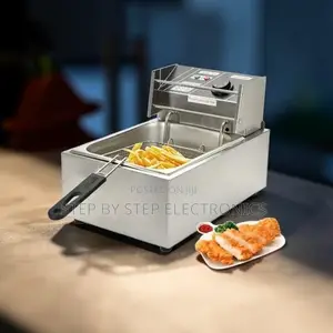 High-End 4l/6l/10l Electric Single Tank Stainless Steel Deep Fryer