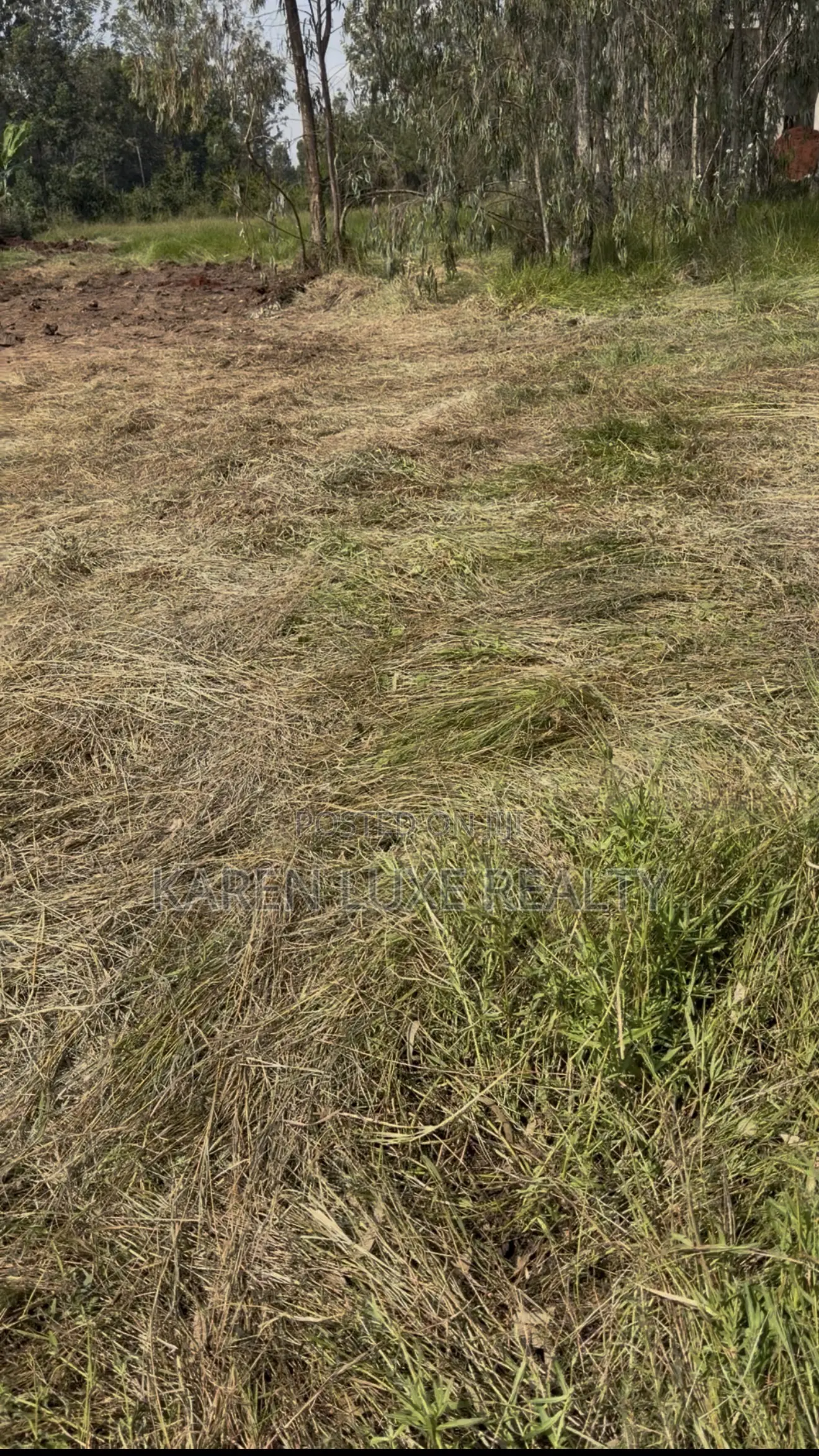 Commercial Prime 1⁄2 Acre Land for Rent – Karen