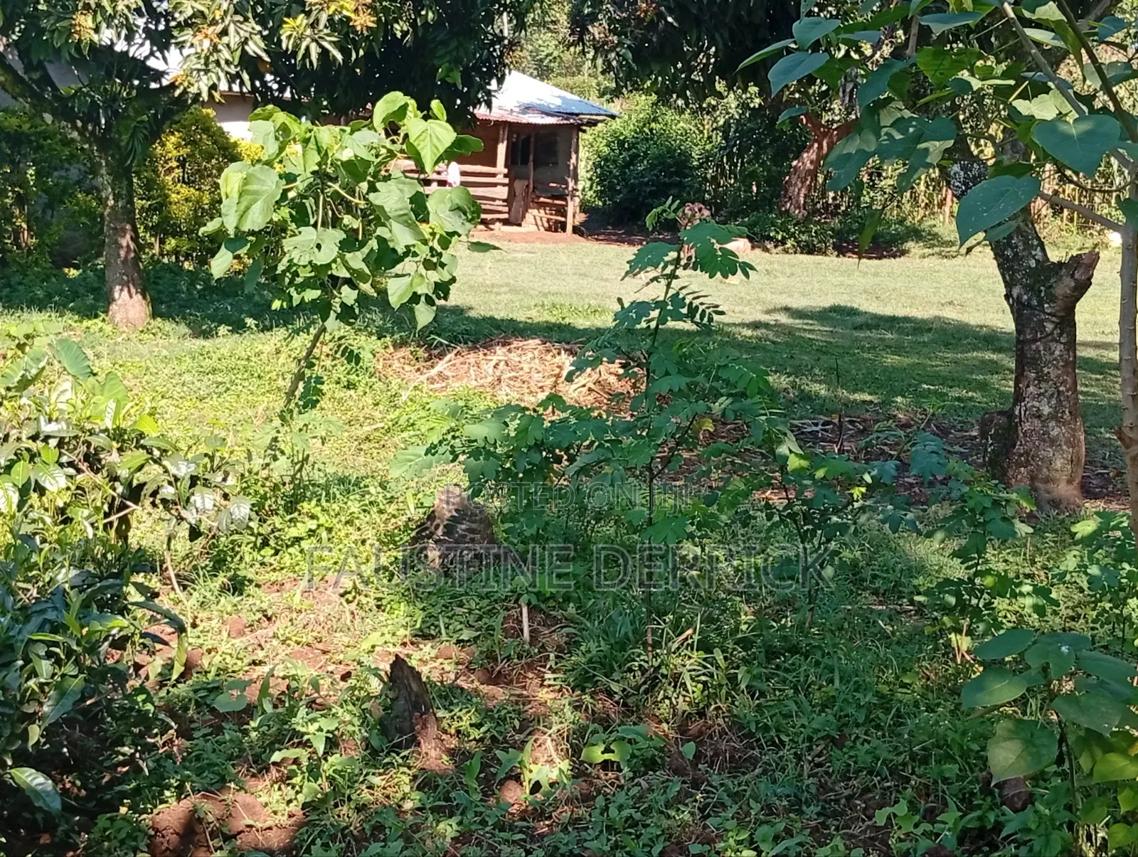 Land on Sale 2acres