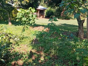 Land on Sale 2acres