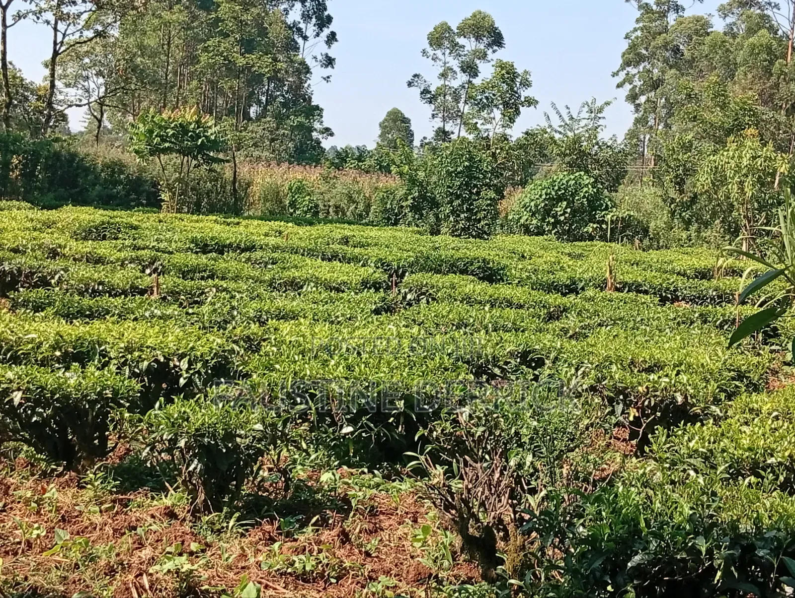 Land on Sale 2acres