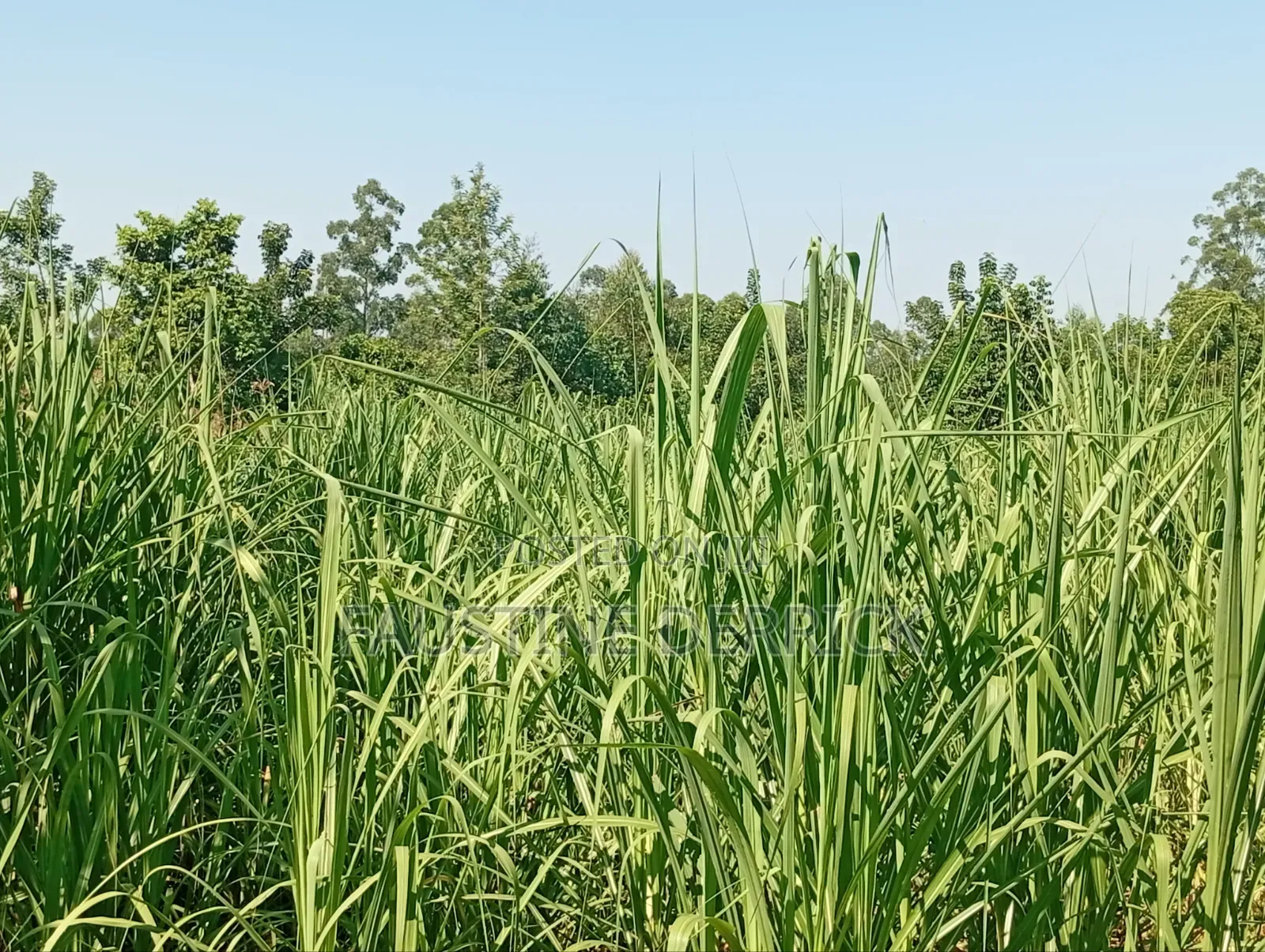 Land on Sale 2acres