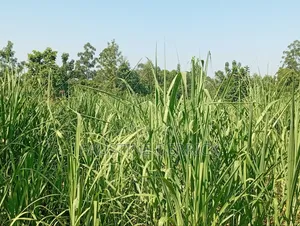 Land on Sale 2acres