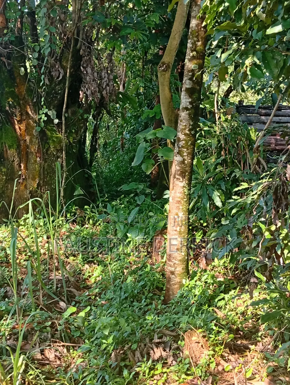 Land on Sale 2acres