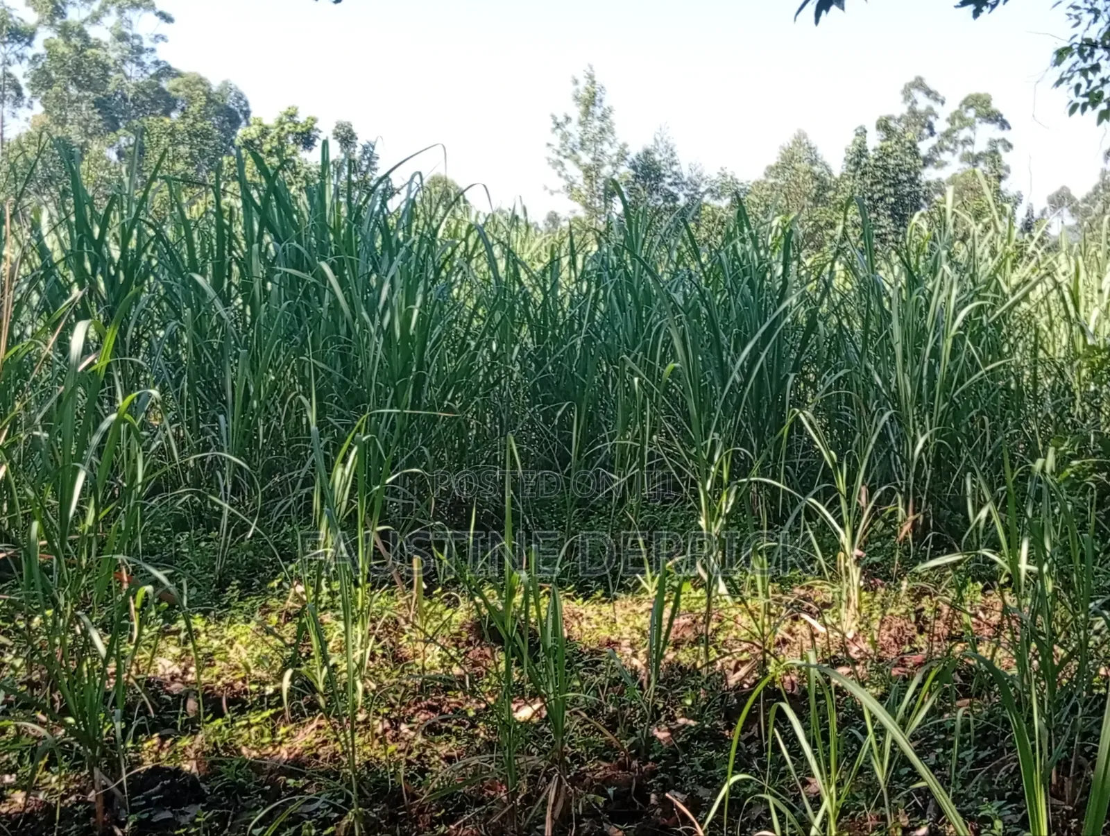 Land on Sale 2acres