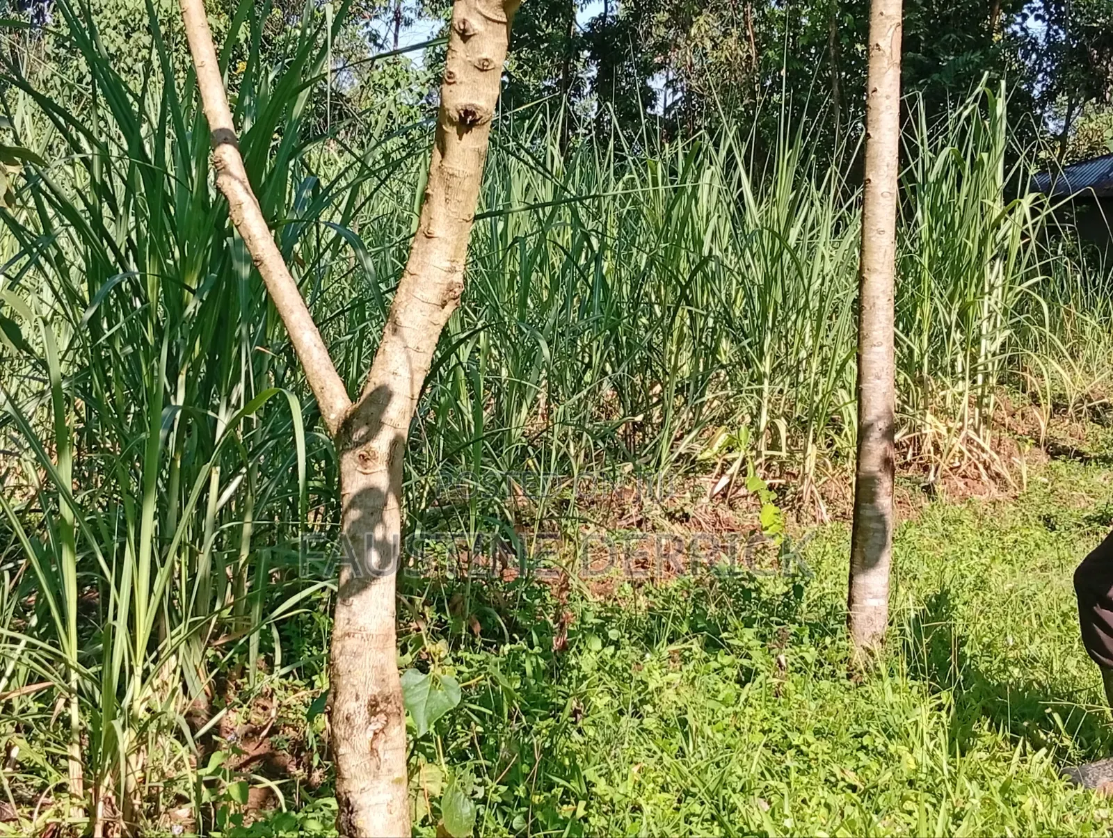 Land on Sale 2acres